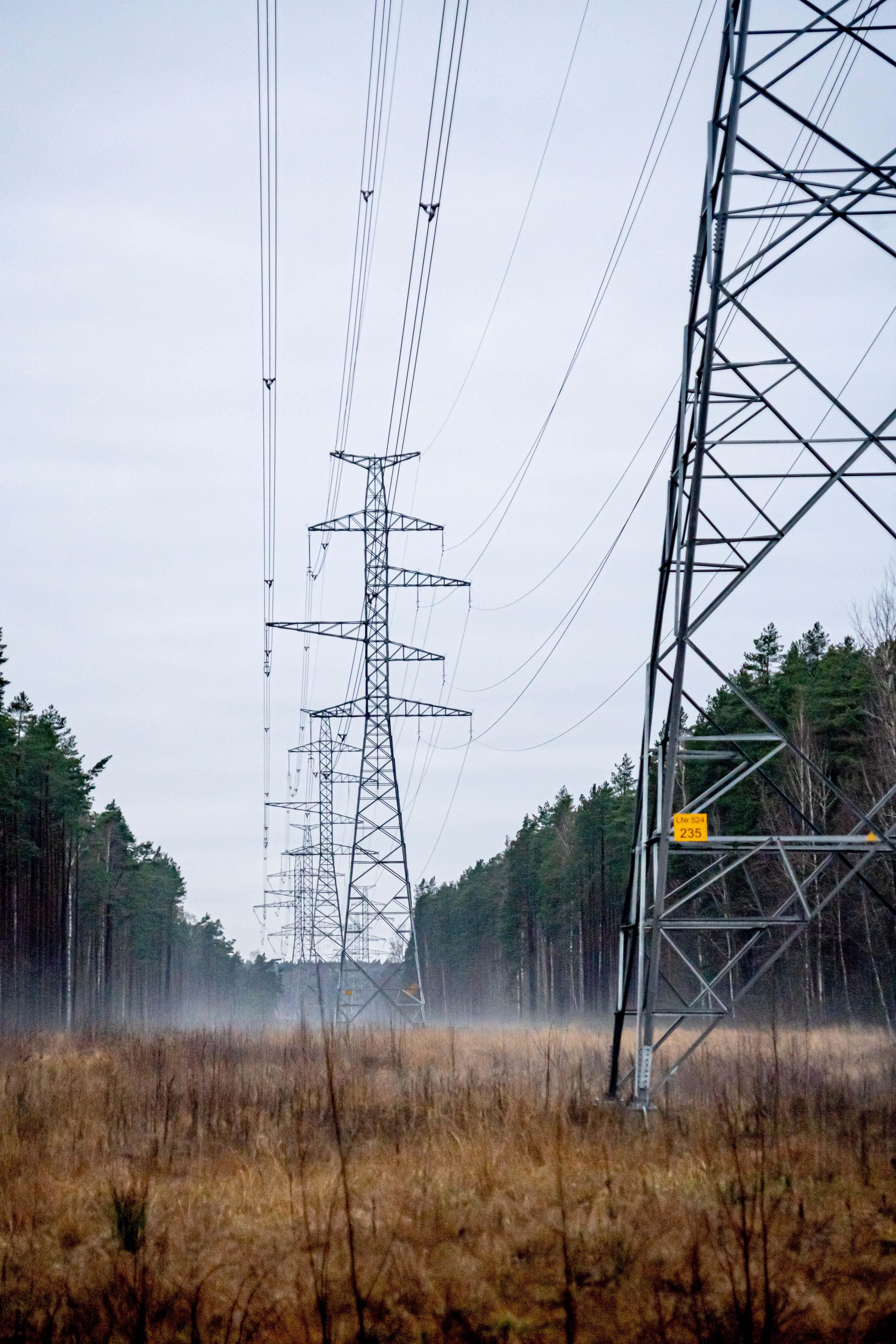 Energia PLPT